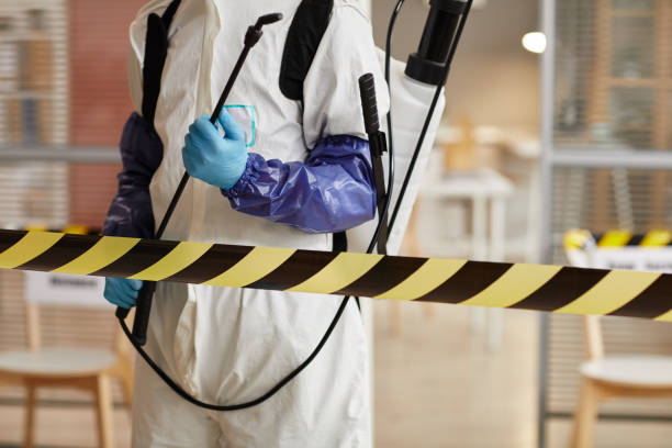 Professional Sewage Cleanup technician working in Morton, WA